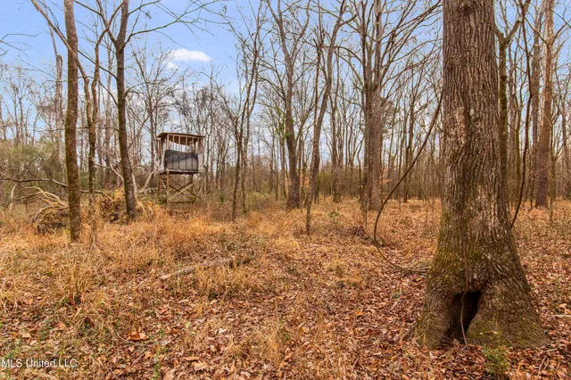 $240,000 | Mt Pilgrim Road, Camden, MS 39045