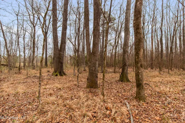 $240,000 | Mt Pilgrim Road, Camden, MS 39045
