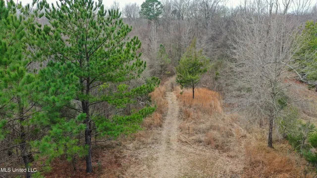 $240,000 | Mt Pilgrim Road, Camden, MS 39045