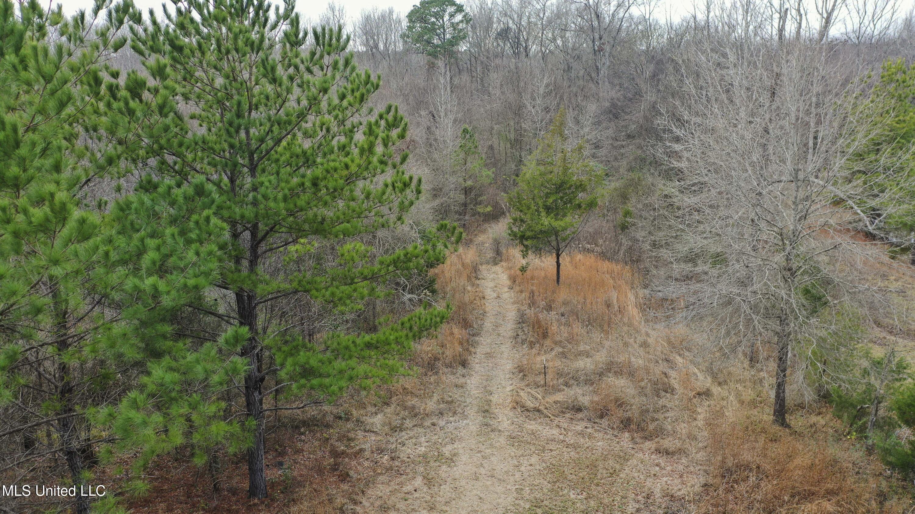 Mt Pilgrim Road Camden, MS 39045 - Photo 44 of 74 Camden-50 Acres-44