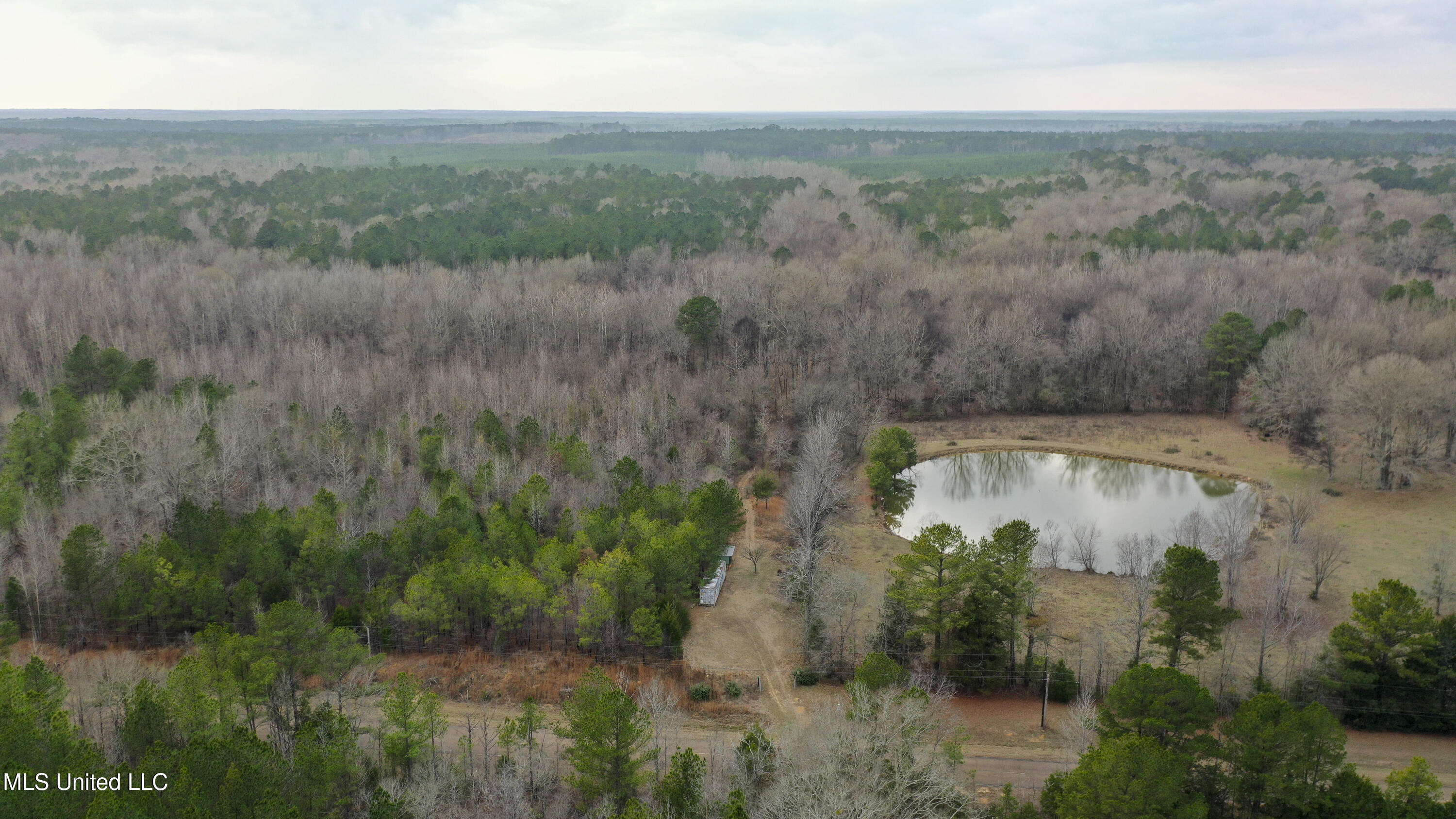 Mt Pilgrim Road Camden, MS 39045 - Photo 45 of 74 Camden-50 Acres-45