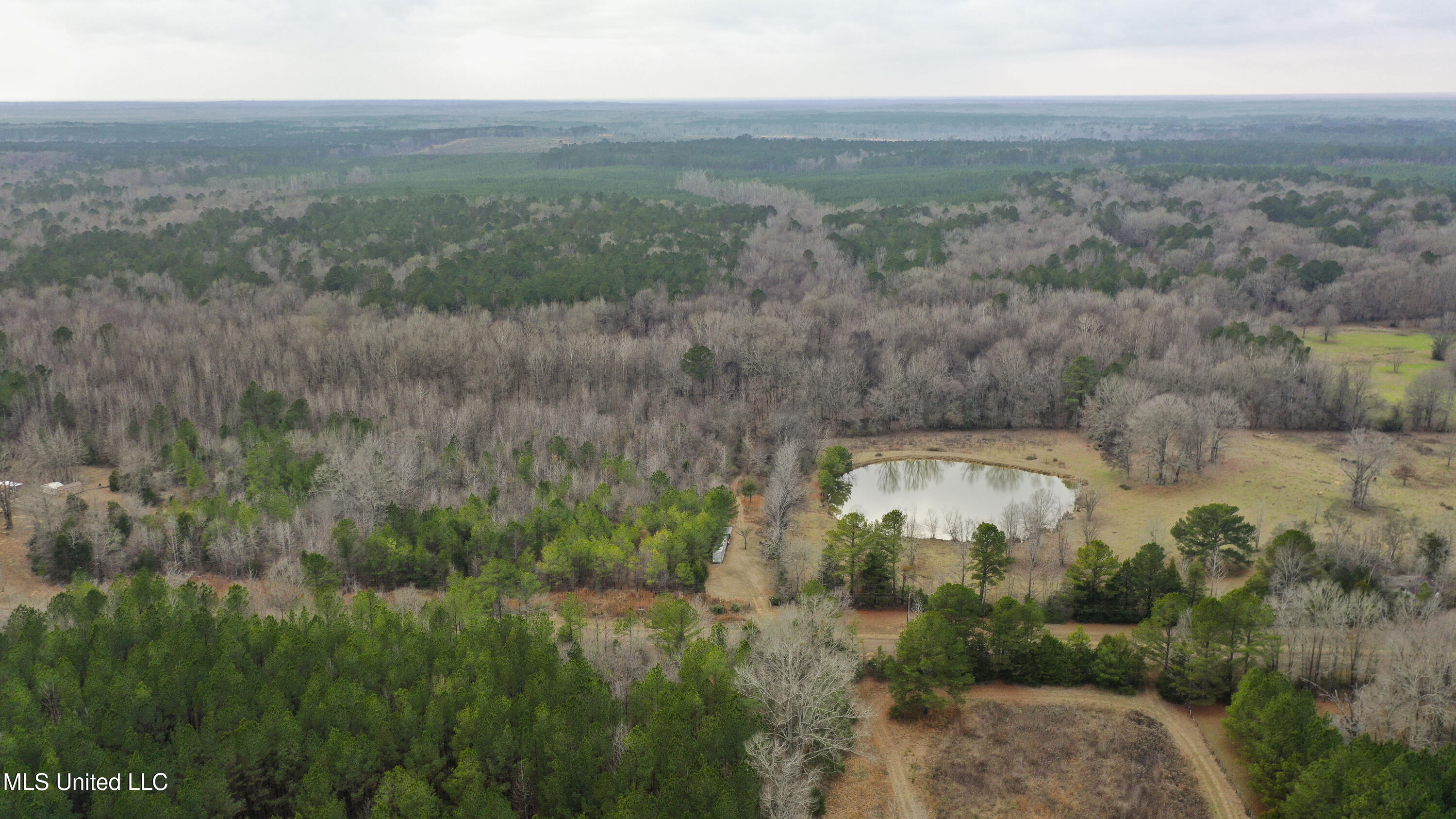Mt Pilgrim Road Camden, MS 39045 - Photo 46 of 74 Camden-50 Acres-46