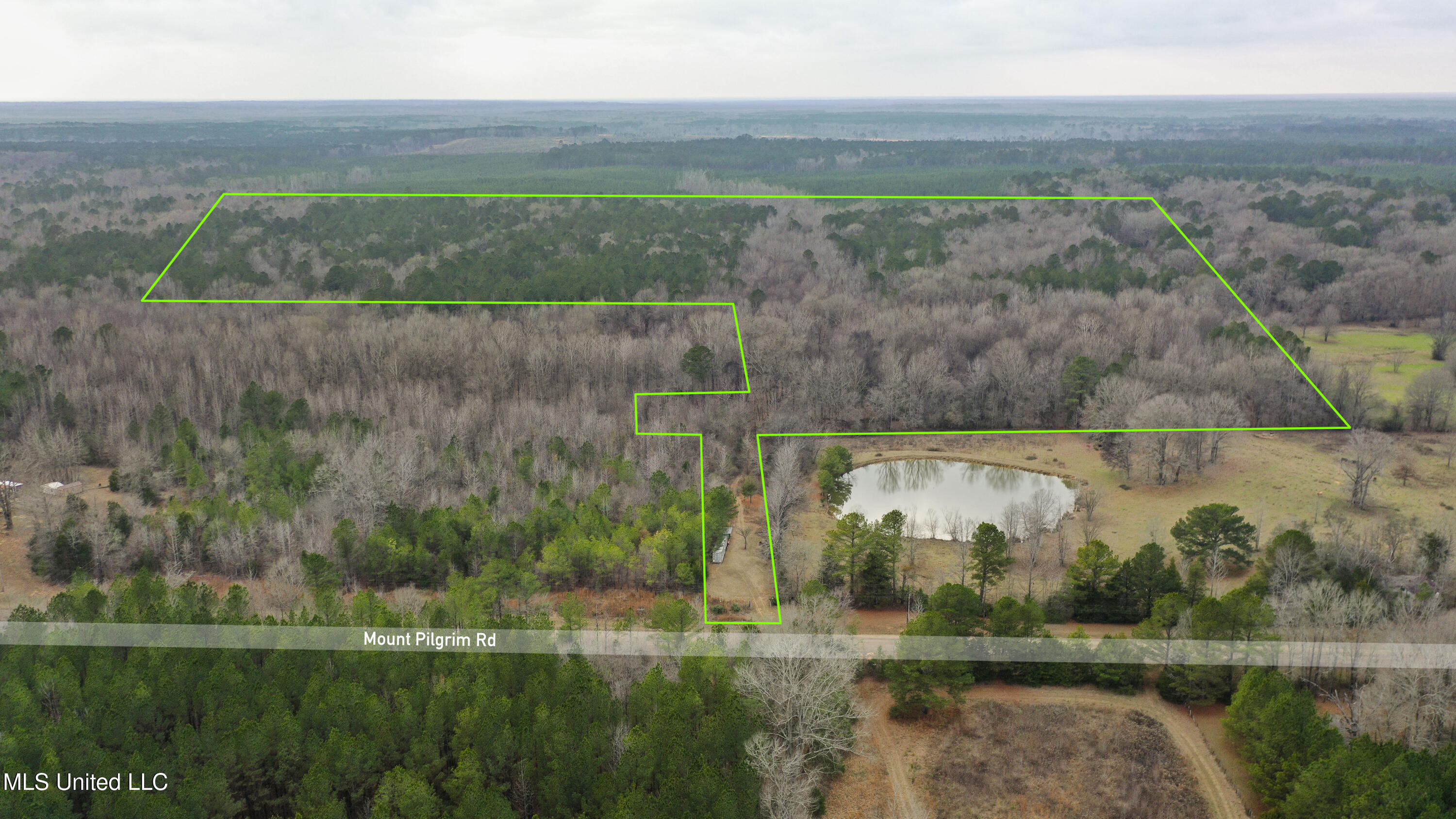 Mt Pilgrim Road Camden, MS 39045 - Photo 47 of 74 Camden-50 Acres-46a