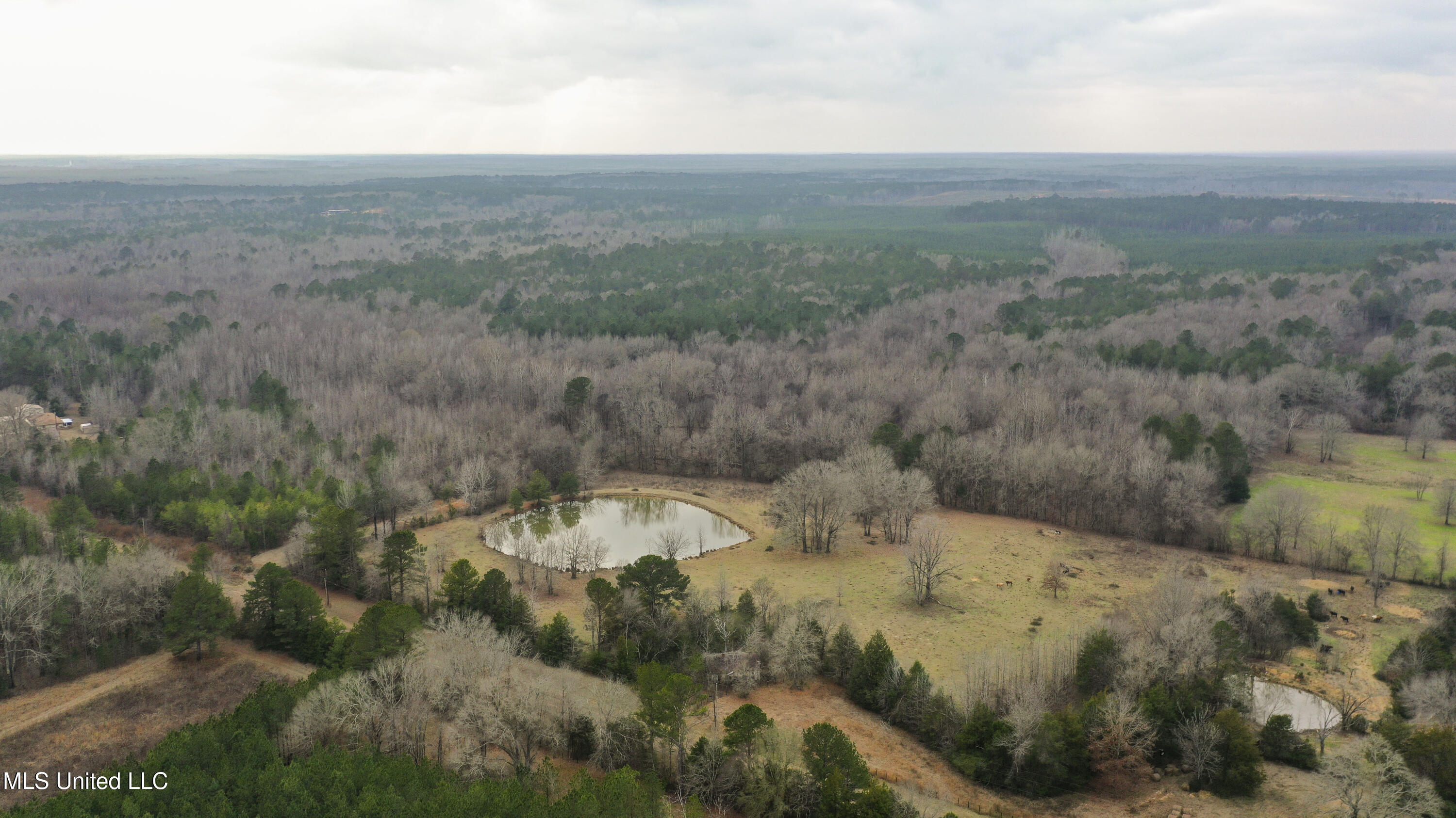 Mt Pilgrim Road Camden, MS 39045 - Photo 48 of 74 Camden-50 Acres-47