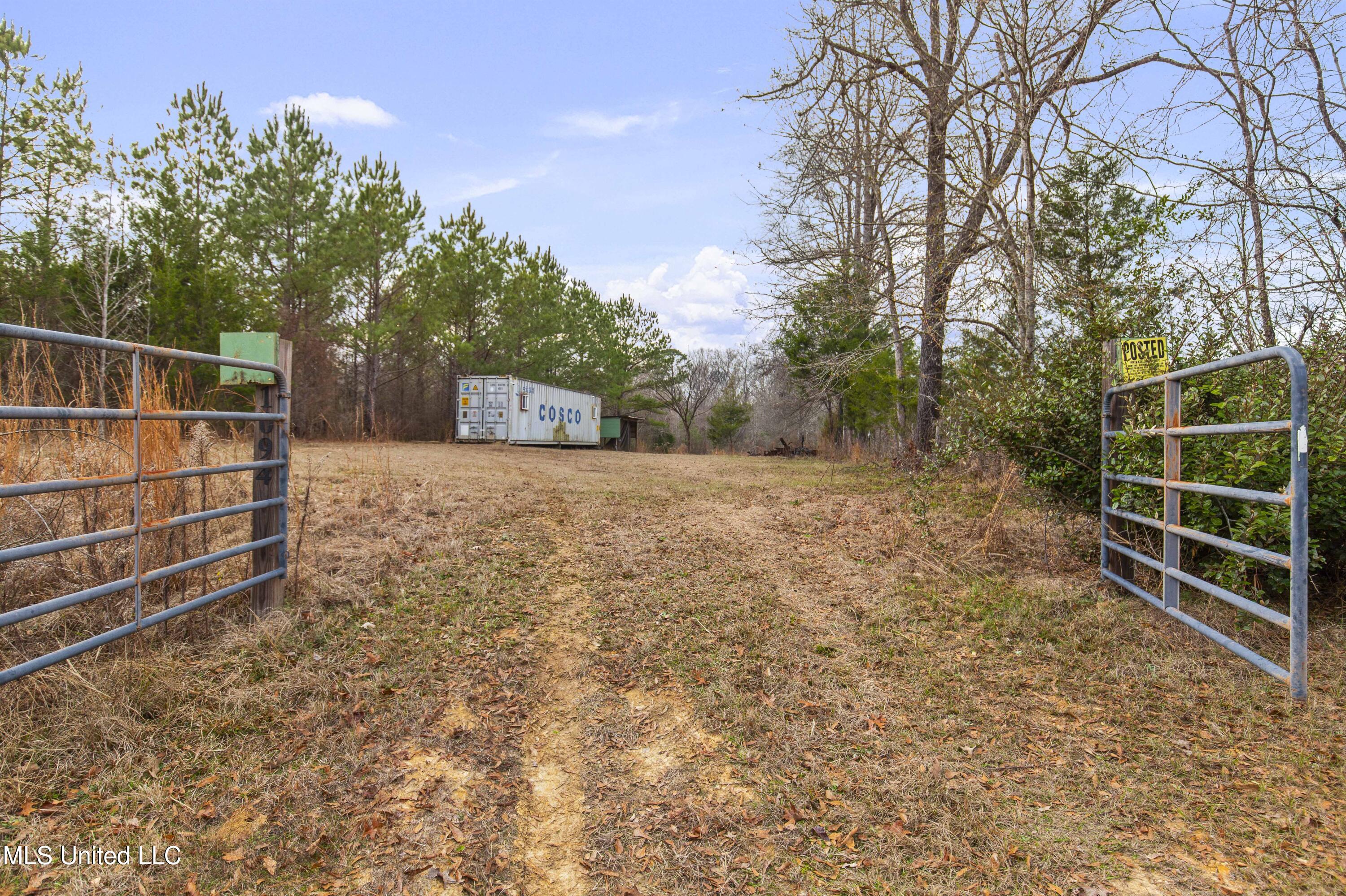 Mt Pilgrim Road Camden, MS 39045 - Photo 5 of 74 Camden-50 Acres-3