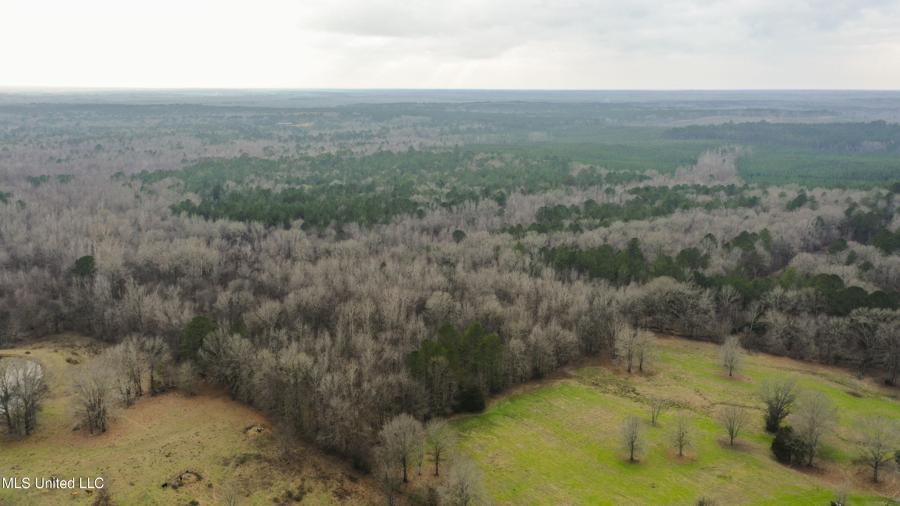 Mt Pilgrim Road Camden, MS 39045 - Photo 51 of 74 Camden-50 Acres-49