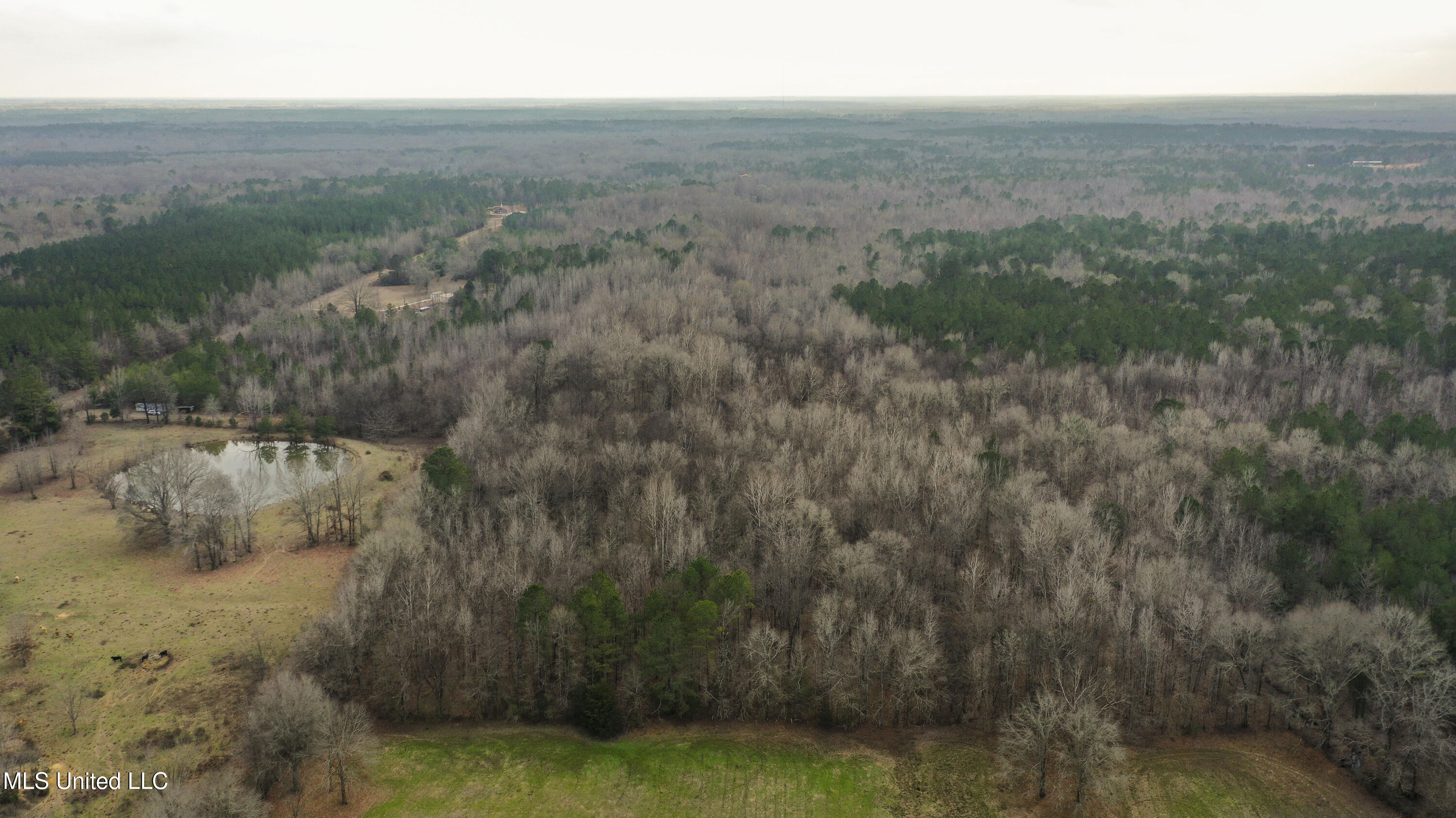 Mt Pilgrim Road Camden, MS 39045 - Photo 52 of 74 Camden-50 Acres-50
