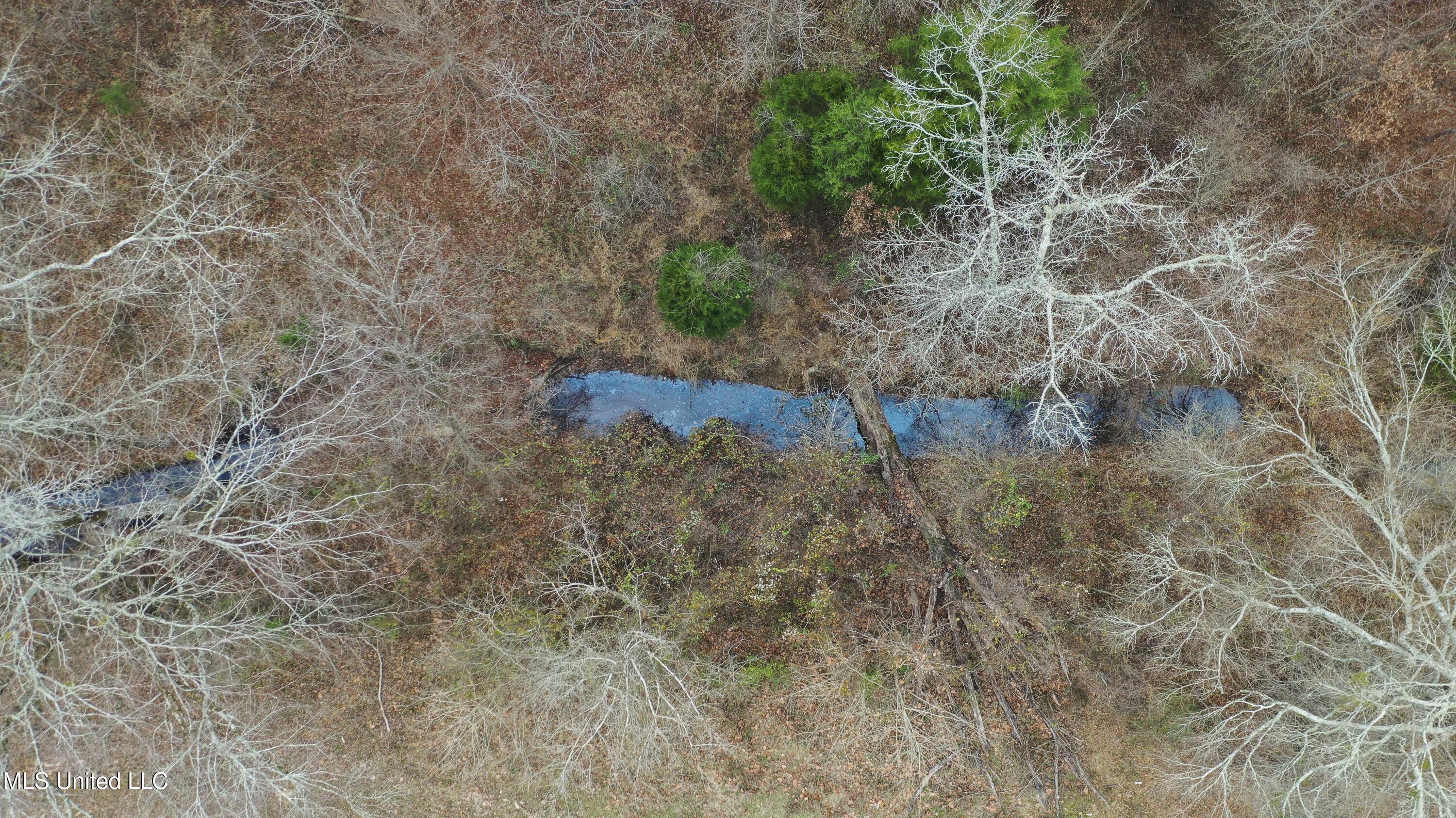Mt Pilgrim Road Camden, MS 39045 - Photo 54 of 74 Camden-50 Acres-52