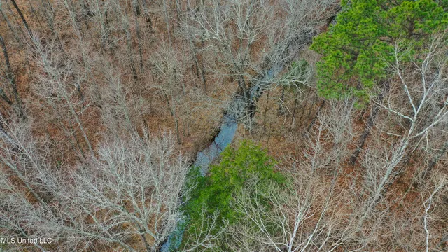 $240,000 | Mt Pilgrim Road, Camden, MS 39045