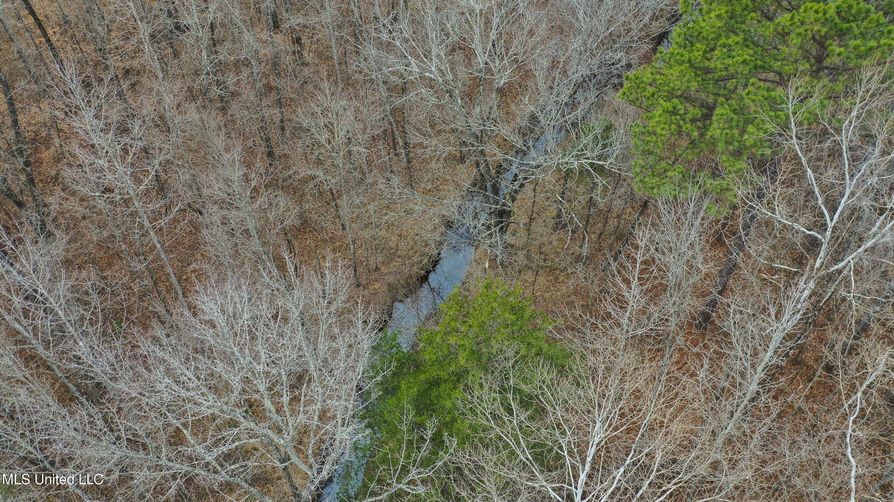 Mt Pilgrim Road Camden, MS 39045 - Photo 55 of 74 Camden-50 Acres-53