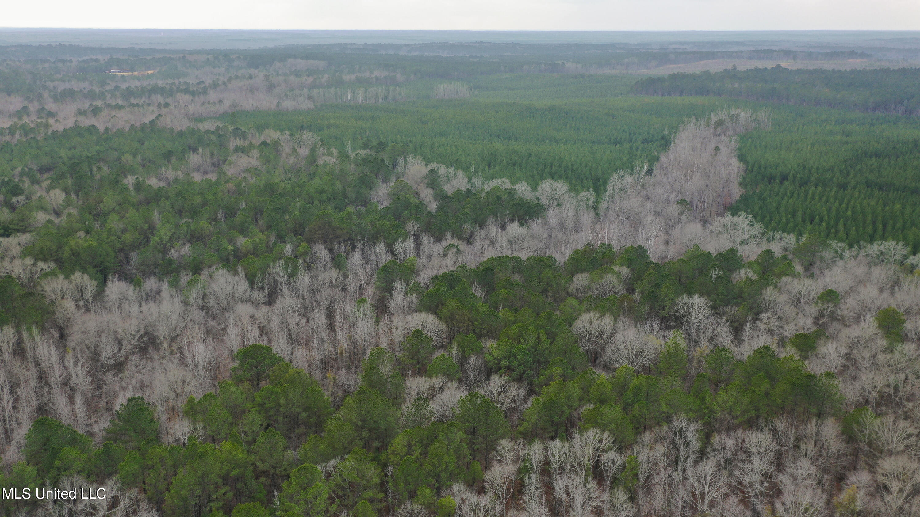 Mt Pilgrim Road Camden, MS 39045 - Photo 56 of 74 Camden-50 Acres-55
