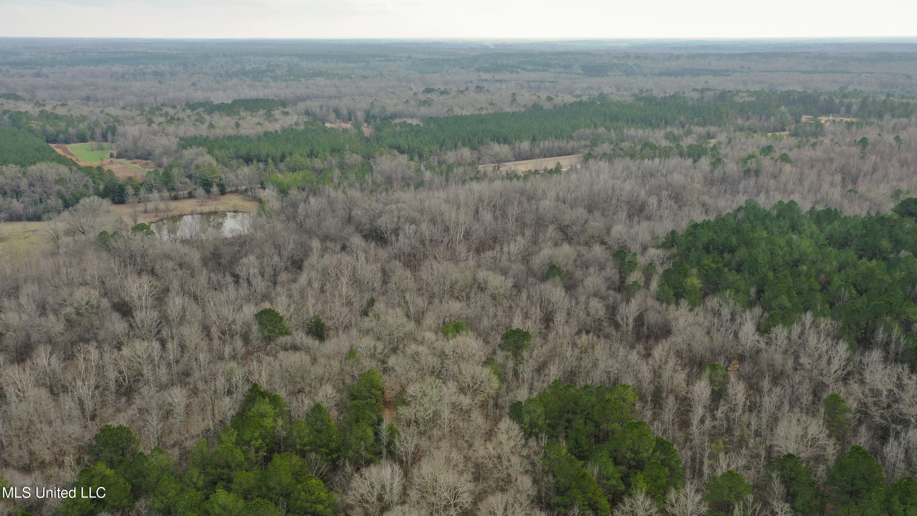 Mt Pilgrim Road Camden, MS 39045 - Photo 57 of 74 Camden-50 Acres-56