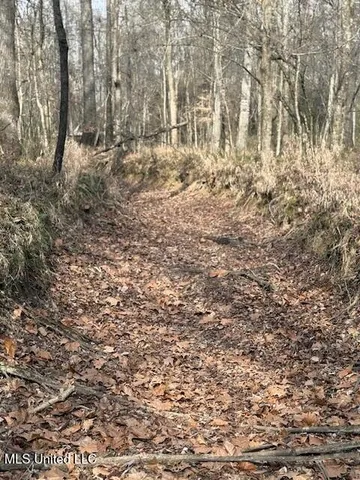 $240,000 | Mt Pilgrim Road, Camden, MS 39045