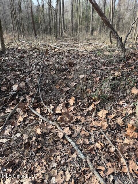 Mt Pilgrim Road Camden, MS 39045 - Photo 60 of 74 2