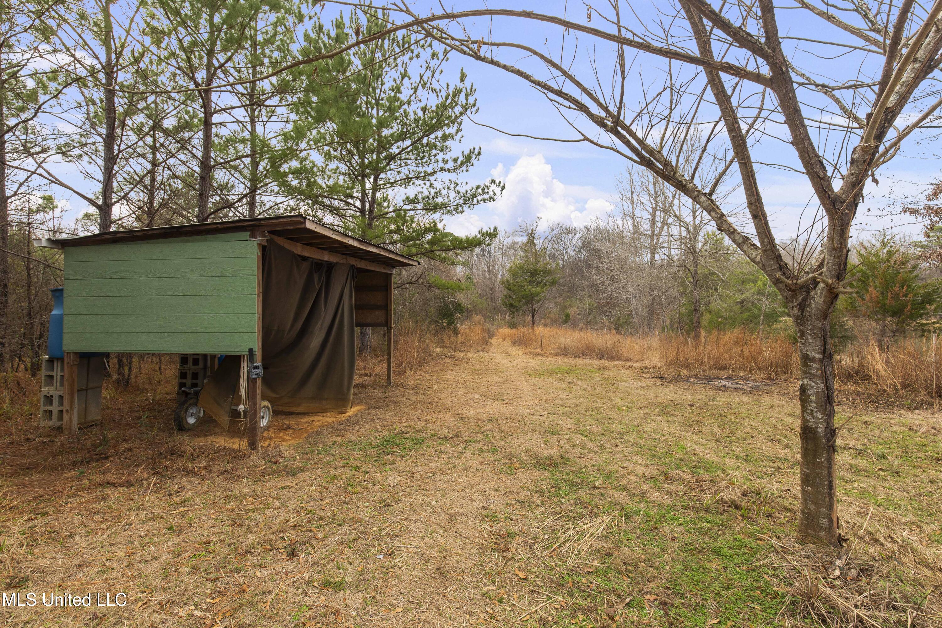 Mt Pilgrim Road Camden, MS 39045 - Photo 6 of 74 Camden-50 Acres-4