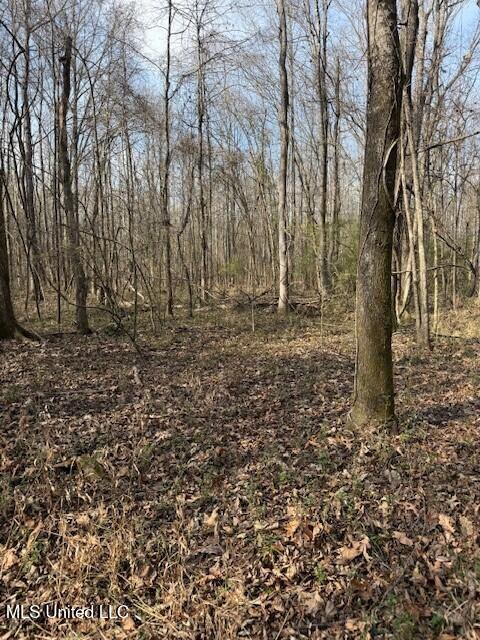 Mt Pilgrim Road Camden, MS 39045 - Photo 61 of 74 3