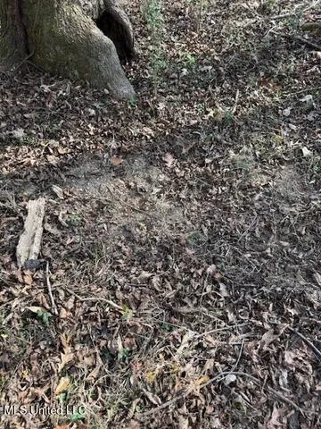 $240,000 | Mt Pilgrim Road, Camden, MS 39045