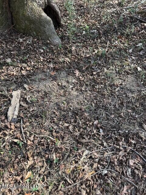 Mt Pilgrim Road Camden, MS 39045 - Photo 62 of 74 4