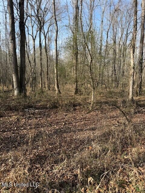 Mt Pilgrim Road Camden, MS 39045 - Photo 63 of 74 5