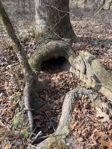 $240,000 | Mt Pilgrim Road, Camden, MS 39045