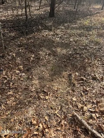 $240,000 | Mt Pilgrim Road, Camden, MS 39045