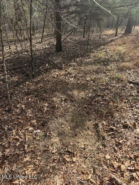 Mt Pilgrim Road Camden, MS 39045 - Photo 68 of 74 10