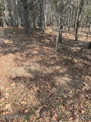 $240,000 | Mt Pilgrim Road, Camden, MS 39045