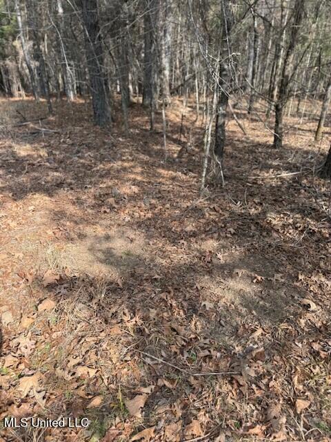 Mt Pilgrim Road Camden, MS 39045 - Photo 69 of 74 11