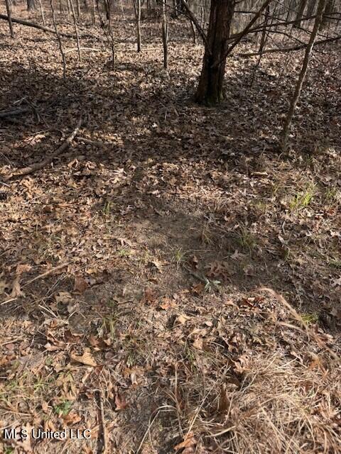 Mt Pilgrim Road Camden, MS 39045 - Photo 70 of 74 12