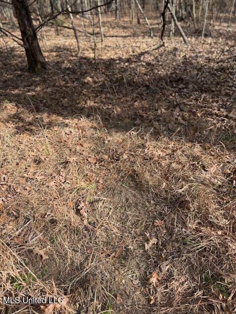 Mt Pilgrim Road Camden, MS 39045 - Photo 71 of 74 13