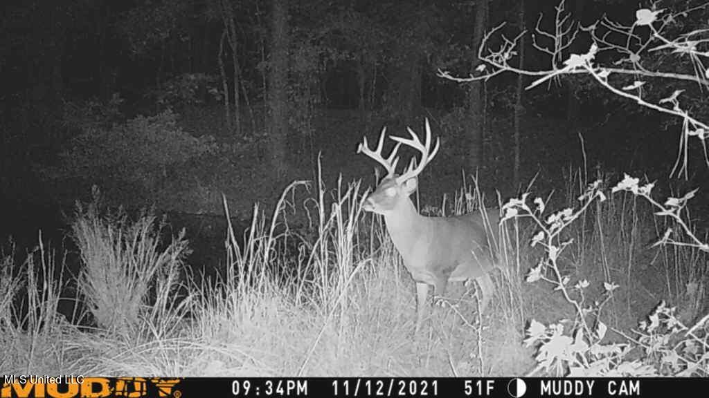 Mt Pilgrim Road Camden, MS 39045 - Photo 74 of 74 Attachmen