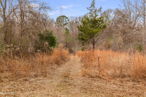 $240,000 | Mt Pilgrim Road, Camden, MS 39045