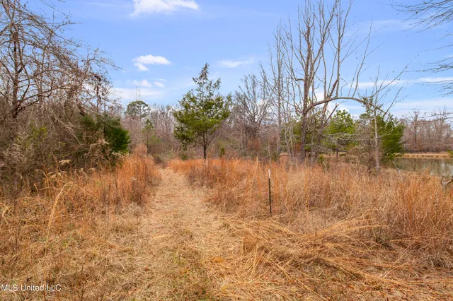 $240,000 | Mt Pilgrim Road, Camden, MS 39045
