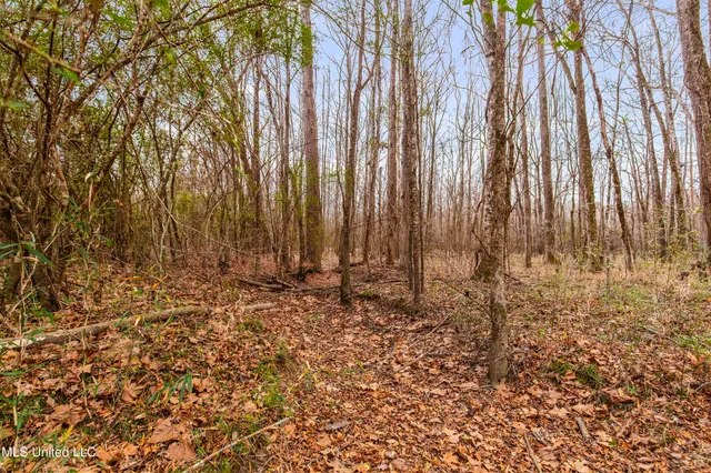 $240,000 | Mt Pilgrim Road, Camden, MS 39045