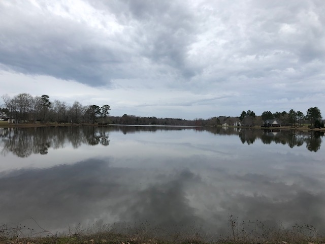Lot 16 Elizabeth Street Cochran, GA 31014 - Photo 5 of 14