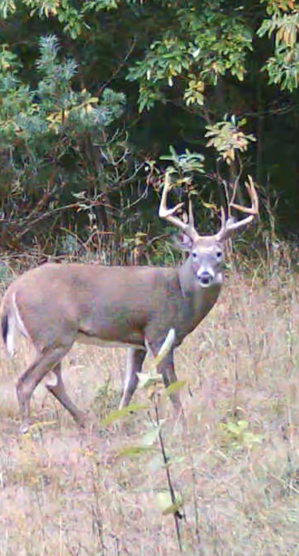 9 9 Mile Road Kingsley, MI 49649 - Photo 28 of 66