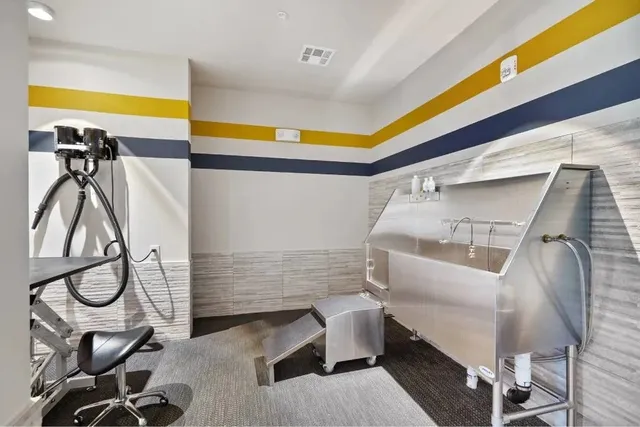 $2,967 | 1317 Post Oak Park Drive, Unit 450, Houston, TX 77027