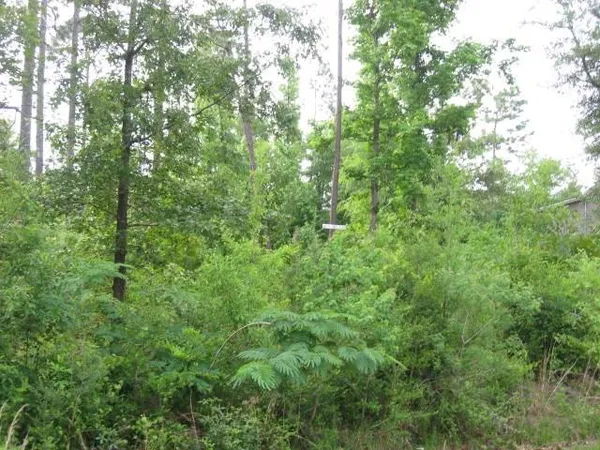 $32,000 | 0 East Sunnybrook Drive, Carriere, MS 39426