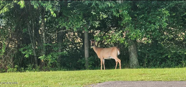 $1,500,000 | 6988 Hwy 64 Street East, Wartrace, TN 37183