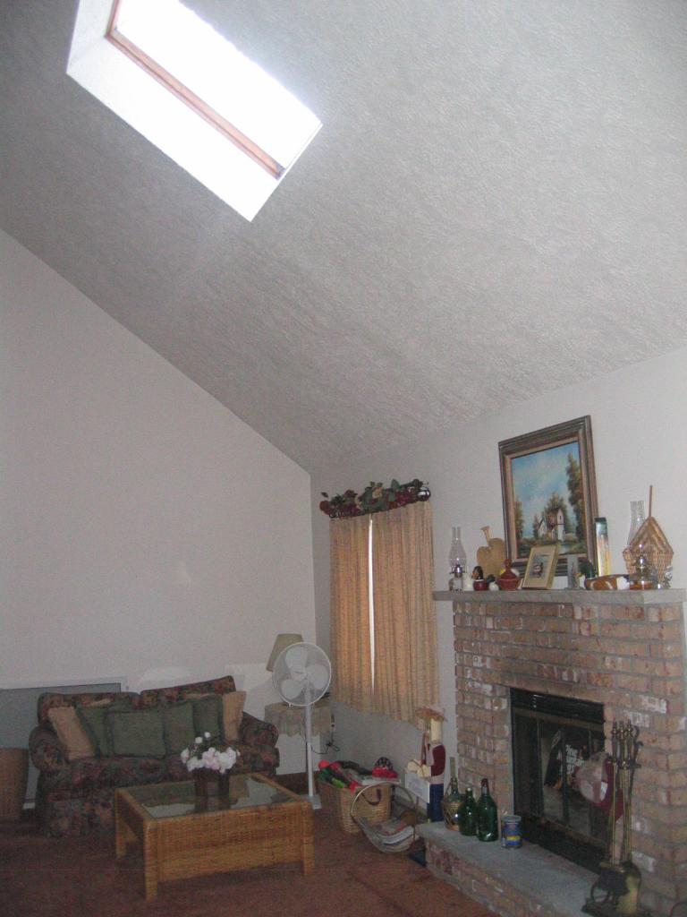 229 Mallard Lane Bushkill, PA 18324 - Photo 3 of 11 Family Room showing Skylights