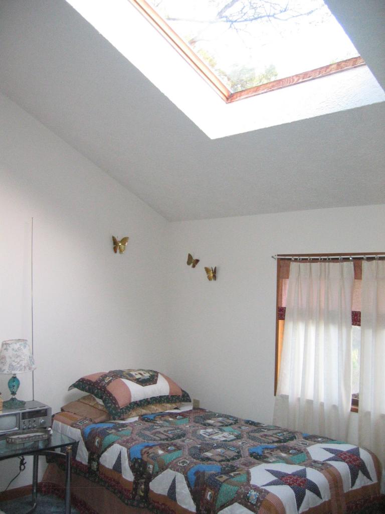 229 Mallard Lane Bushkill, PA 18324 - Photo 4 of 11 Bedroom 3 has Vaulted Ceiling & Skylight