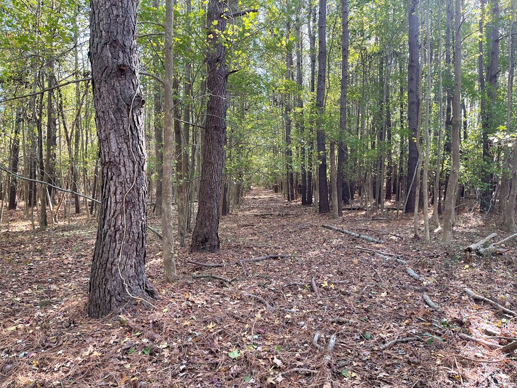 8-acres Redwood Road Onancock, VA 23417 - Photo 18 of 28