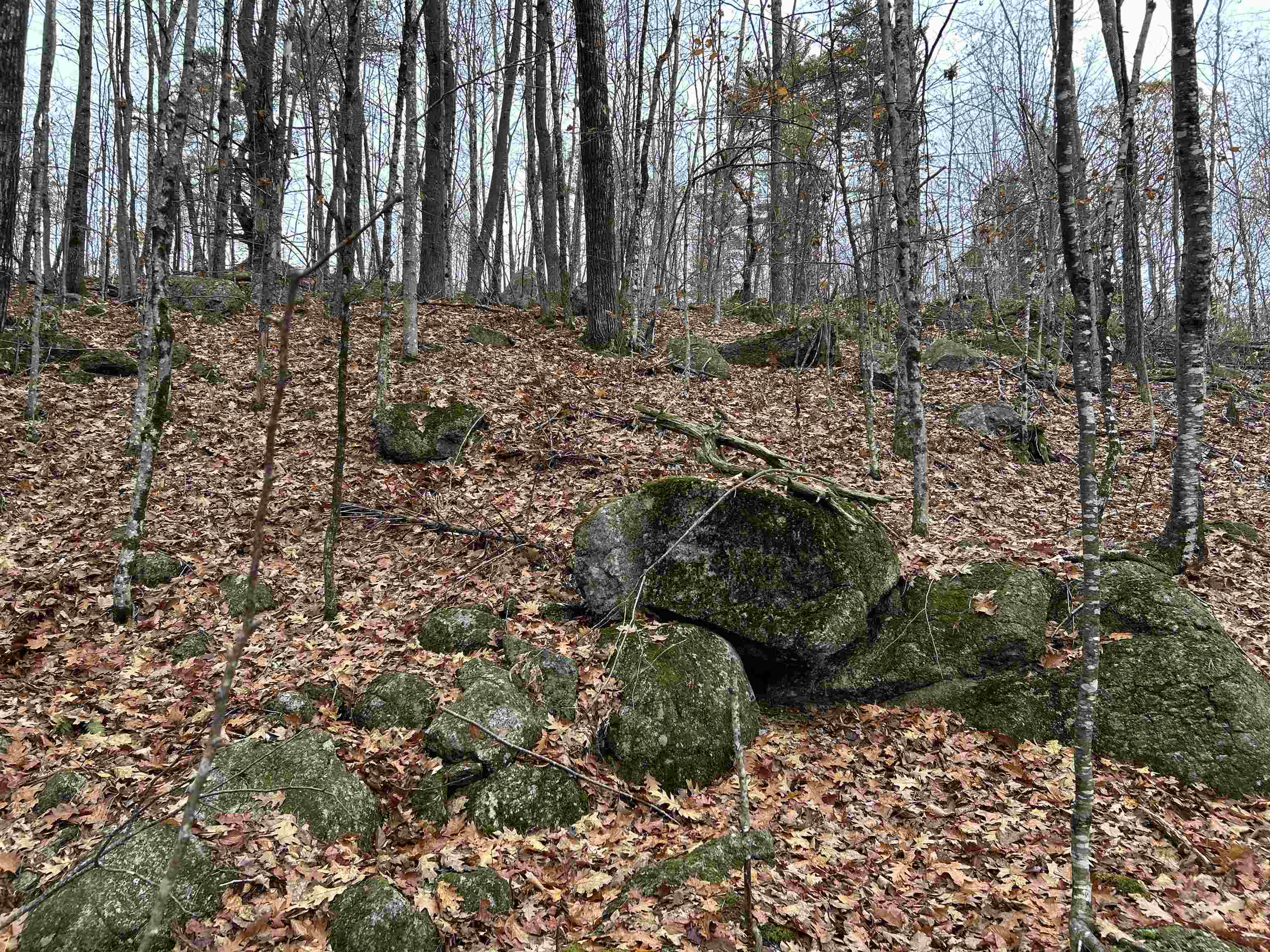 0 Pound Road North North Sutton, NH 03260 - Photo 5 of 51