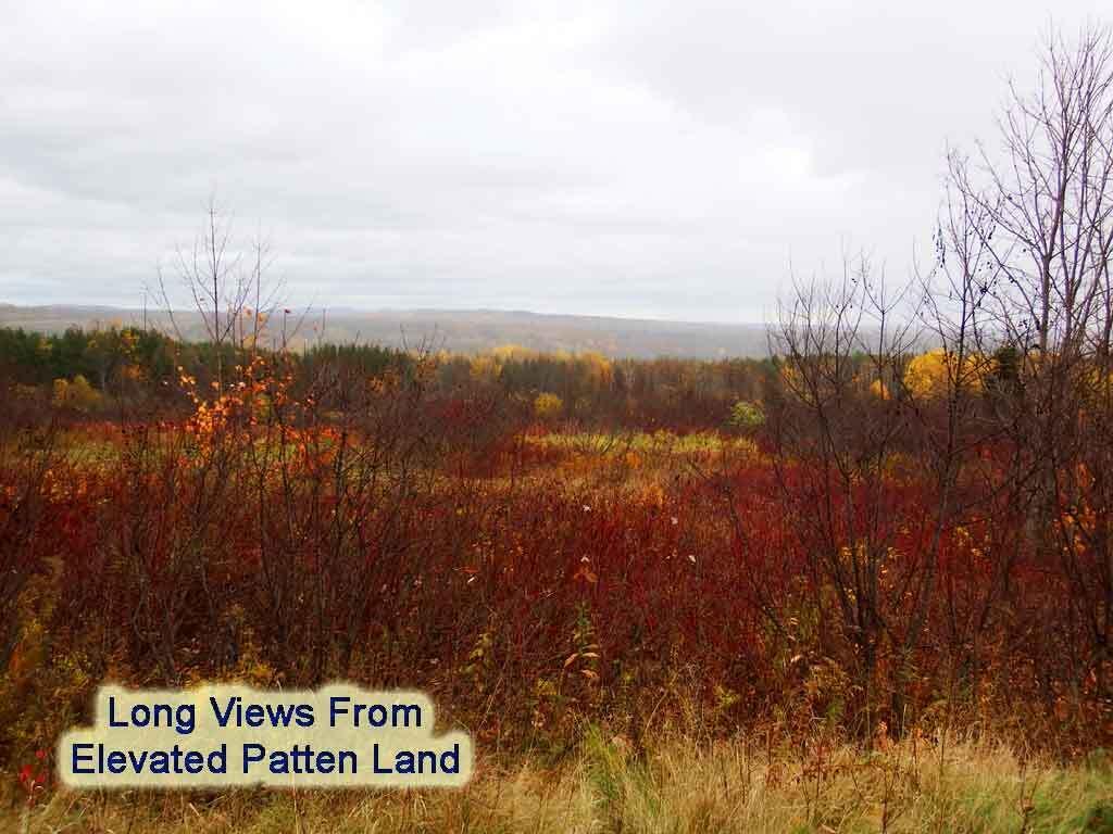 Lot 16 B North Road Patten, ME 04765 - Photo 5 of 31 patten-me-land-zannini-7