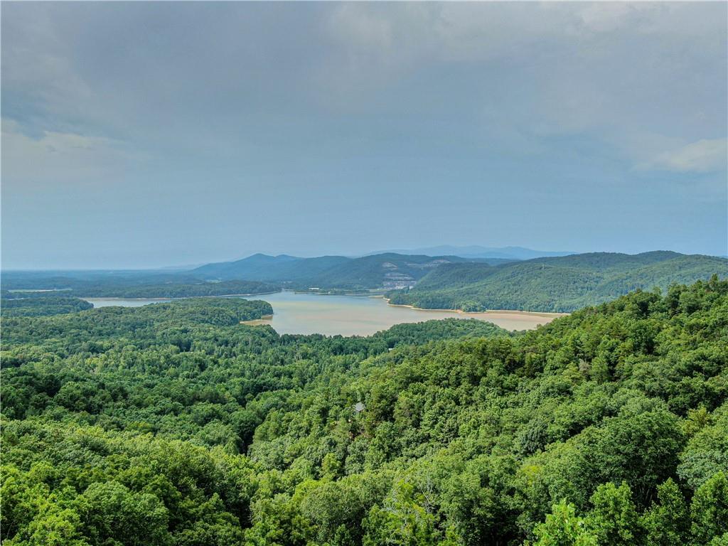 965 Raccoon Ridge Northeast Ranger, GA 30734 - Photo 2 of 8 a view of a field with an ocean