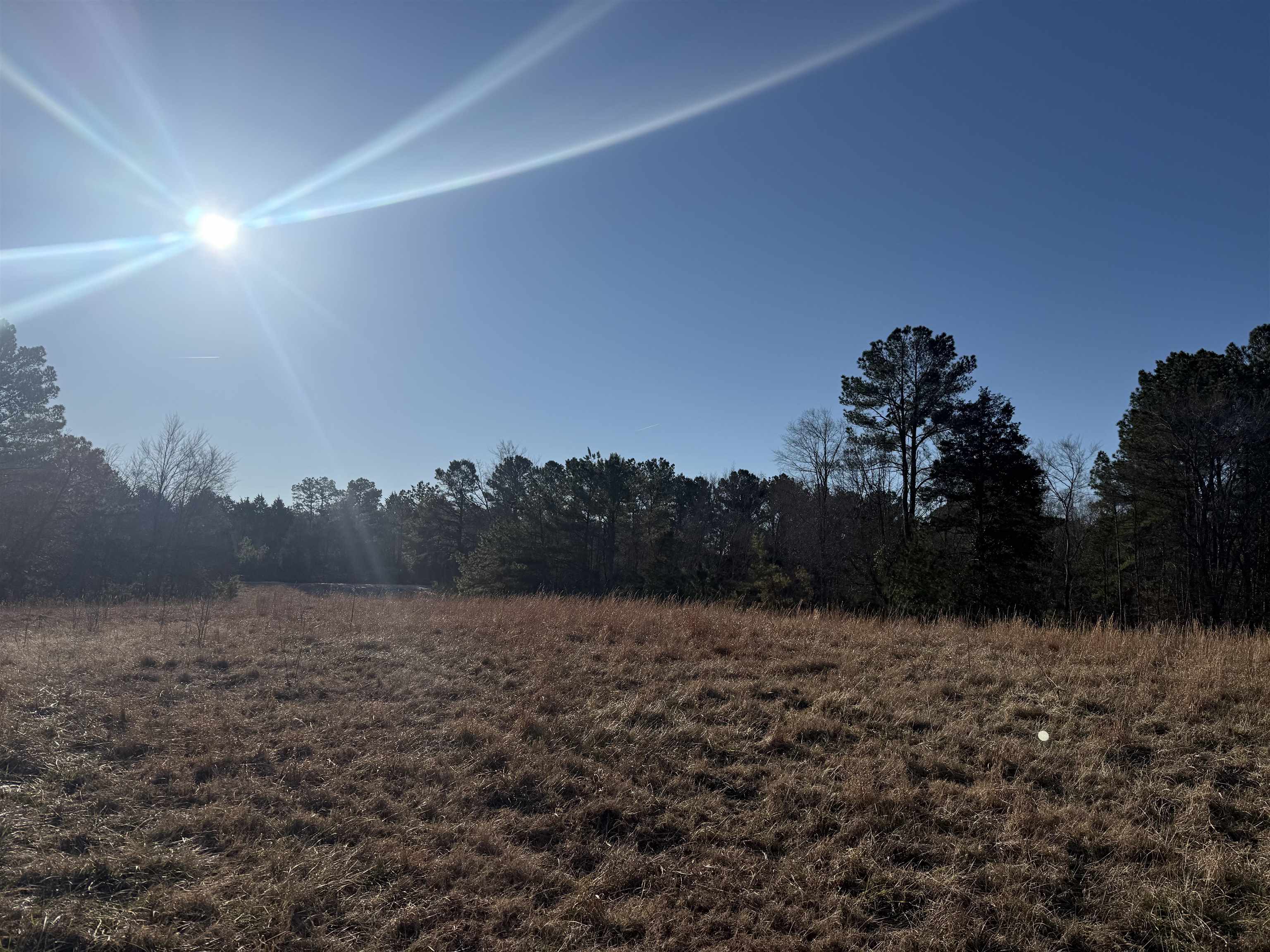 25 New Union Loop Medon, TN 38356 - Photo 13 of 35