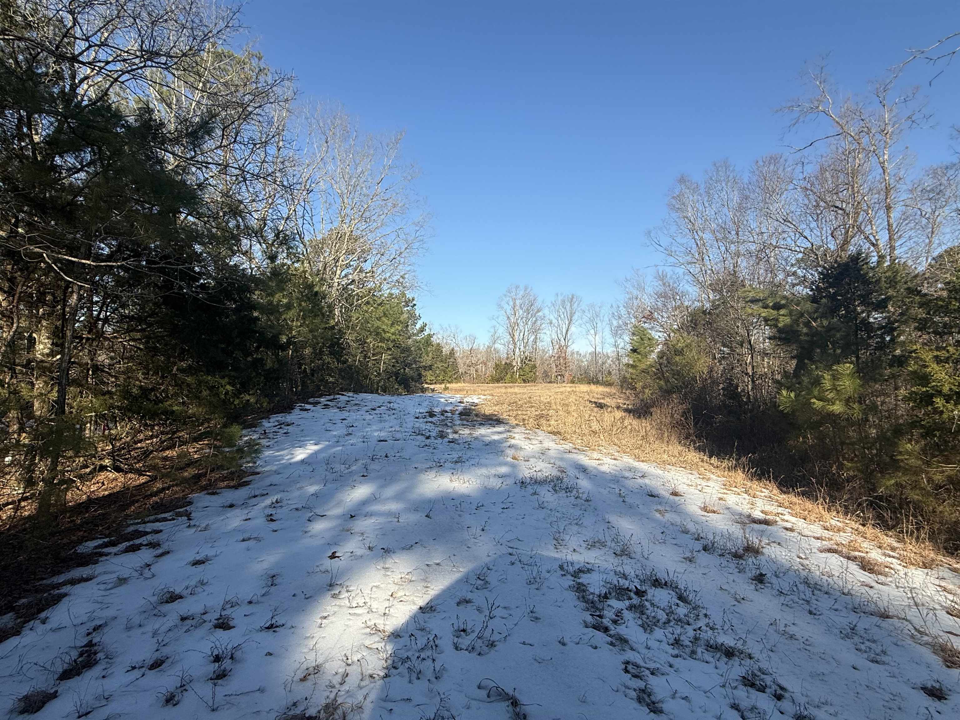 25 New Union Loop Medon, TN 38356 - Photo 15 of 35