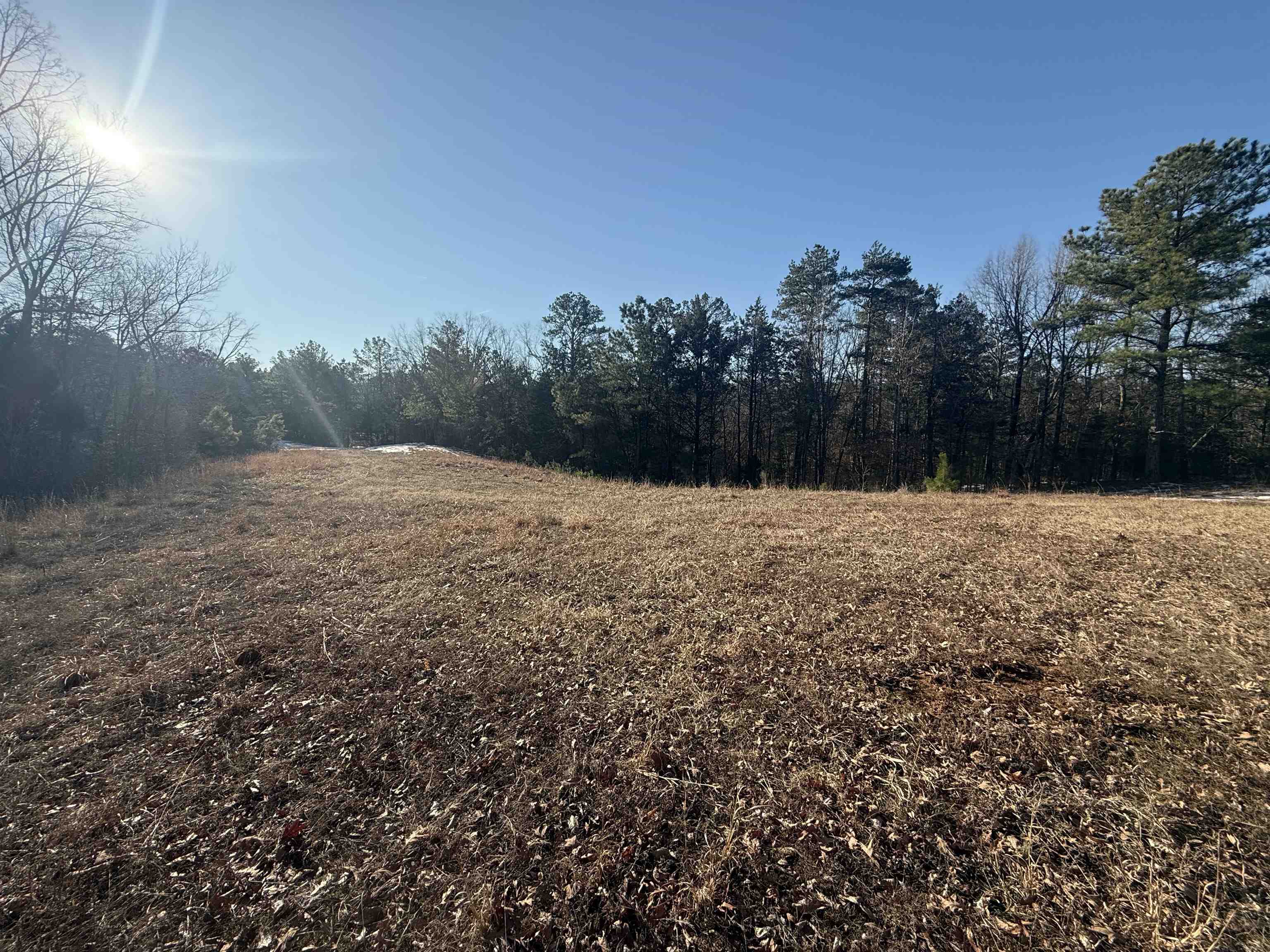 25 New Union Loop Medon, TN 38356 - Photo 16 of 35