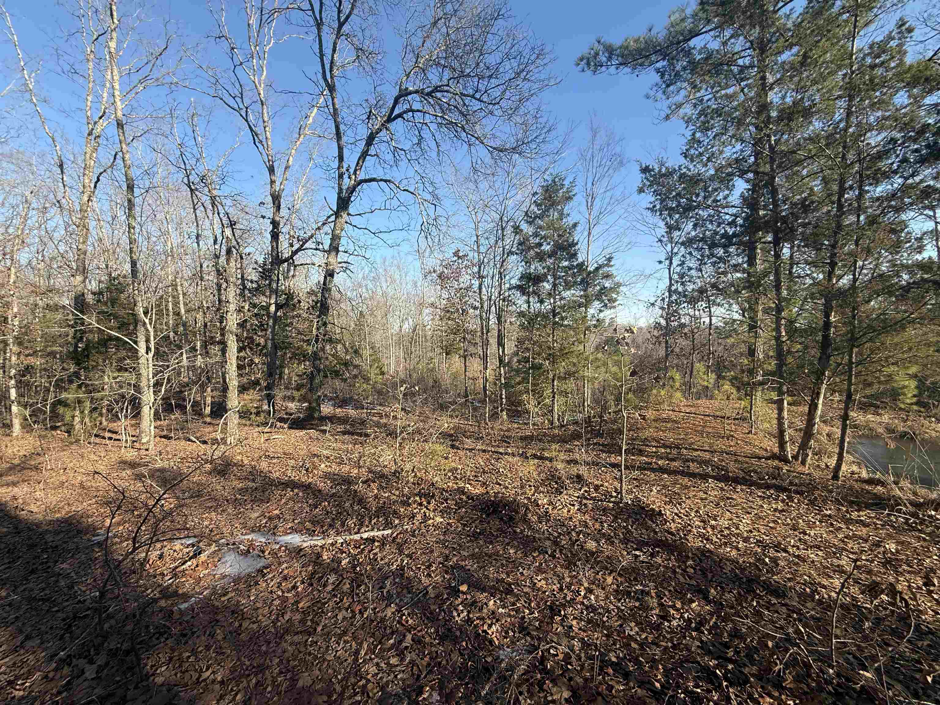 25 New Union Loop Medon, TN 38356 - Photo 17 of 35