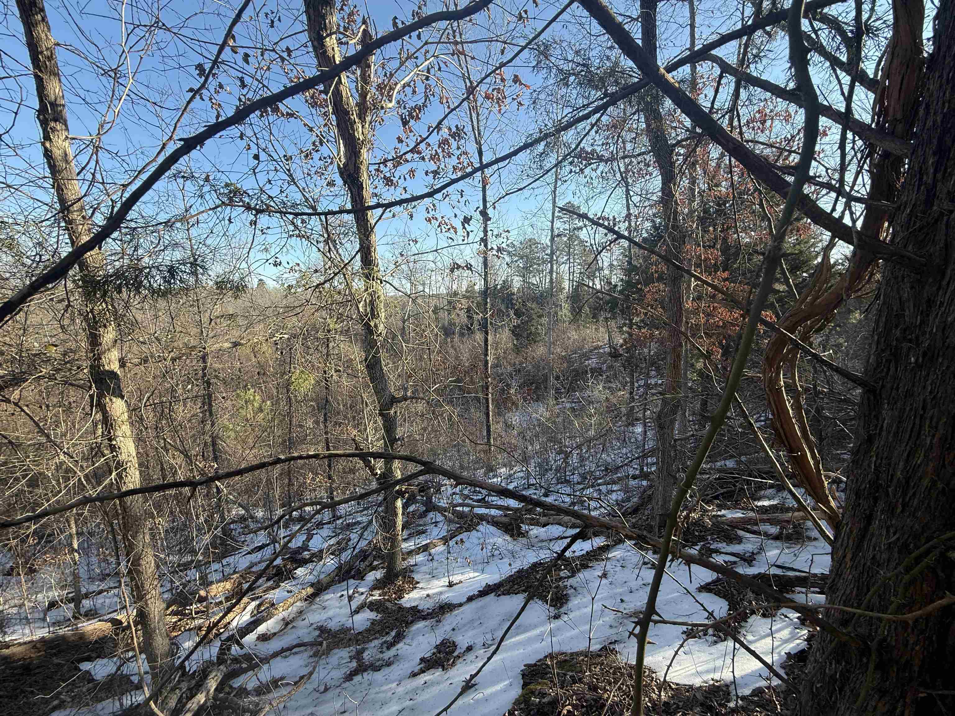 25 New Union Loop Medon, TN 38356 - Photo 19 of 35